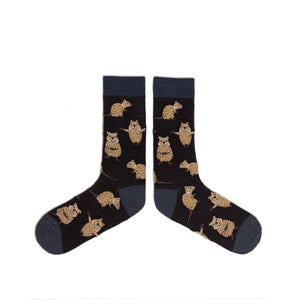 SPENCER FLYNN MENS SOCKS - QUOKKAS