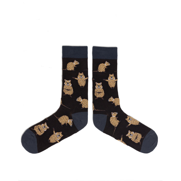 SPENCER FLYNN MENS SOCKS - QUOKKAS
