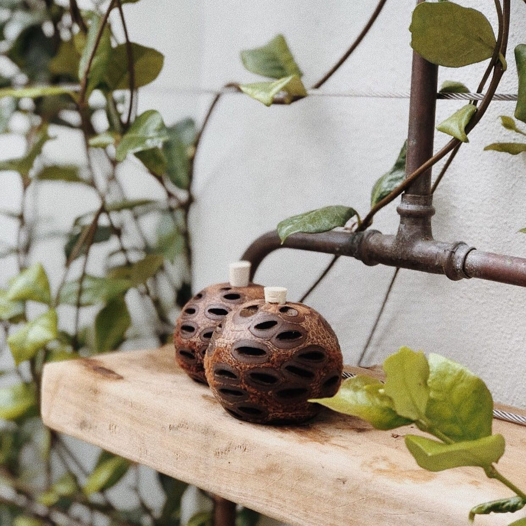BANKSIA NUT MED AROMA POD