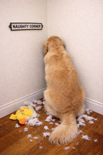Load image into Gallery viewer, CAST IRON SIGN - NAUGHTY