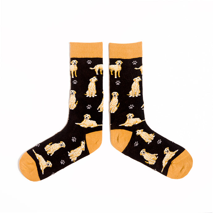 SPENCER FLYNN MENS SOCKS - CRICKET