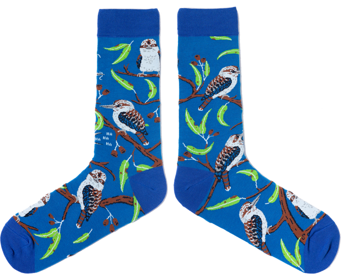 SPENCER FLYNN MENS SOCKS - KOOKABURRAS