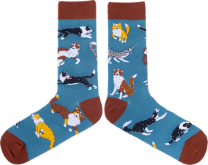 SPENCER FLYNN MENS SOCKS - BORDER COLLIES