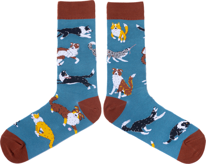 SPENCER FLYNN MENS SOCKS - BORDER COLLIES