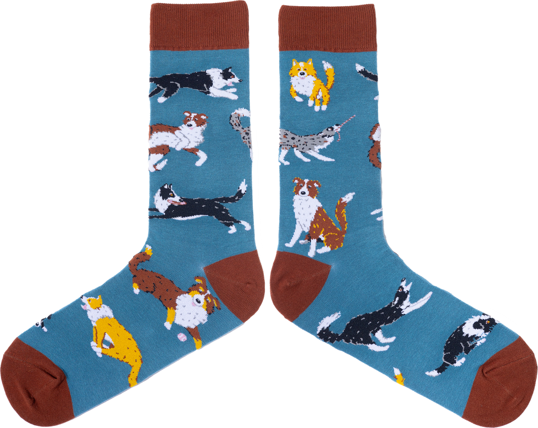 SPENCER FLYNN MENS SOCKS - BORDER COLLIES