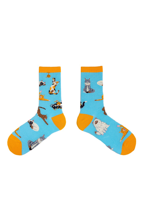 SPENCER FLYNN LADIES SOCKS - CAT BREEDS