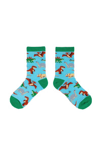 SPENCER FLYNN KIDS SOCKS - DINOSAURS AGE 4-6