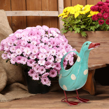 Load image into Gallery viewer, METAL DUCK WATERING CAN - PUDDLES
